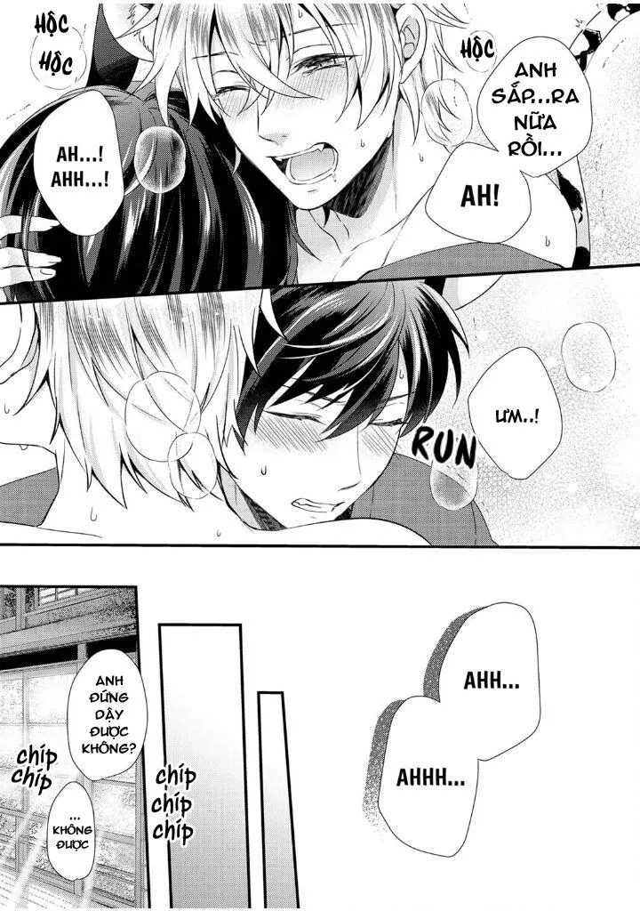 Tôi Không Thể Tin Được Tôi Bị Một Con Thỏ Ăn Cỏ Ăn Thịt! Chapter 7 Trang 21