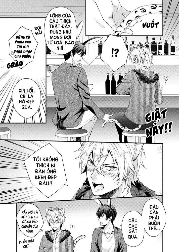 Tôi Không Thể Tin Được Tôi Bị Một Con Thỏ Ăn Cỏ Ăn Thịt! Chapter 1 Trang 6