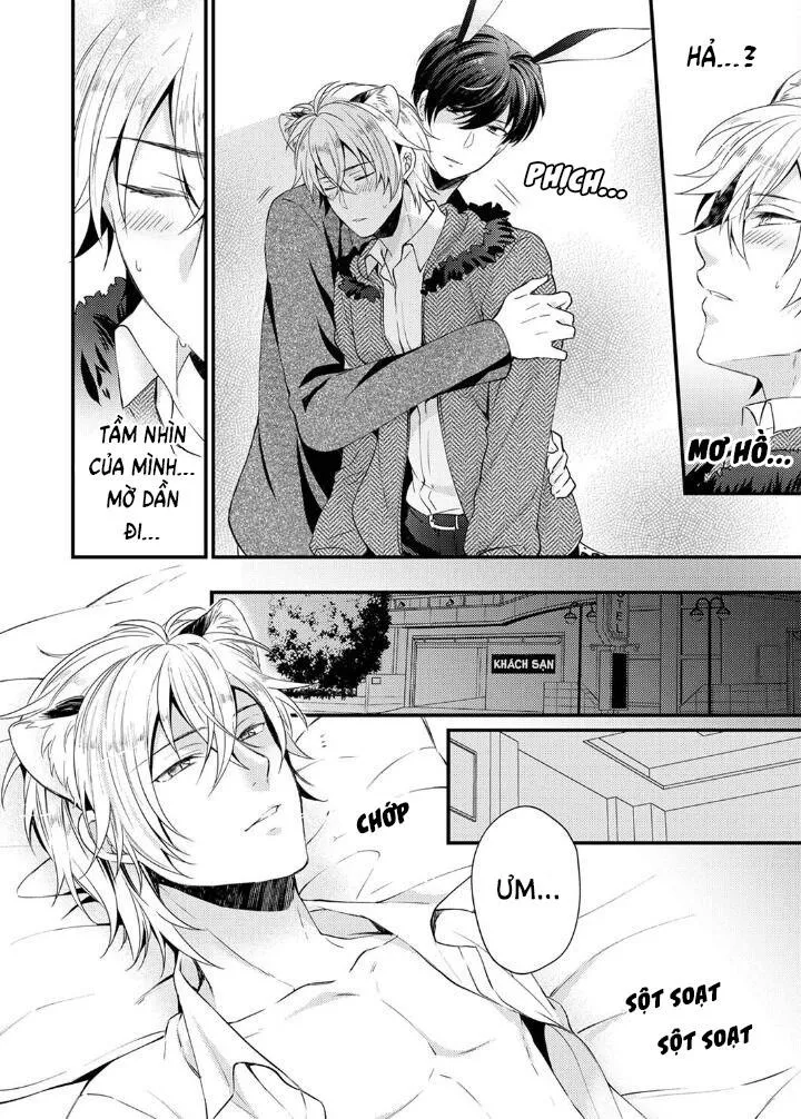 Tôi Không Thể Tin Được Tôi Bị Một Con Thỏ Ăn Cỏ Ăn Thịt! Chapter 1 Trang 11