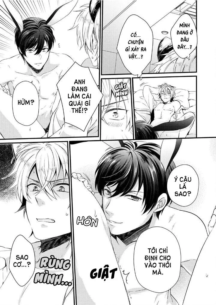 Tôi Không Thể Tin Được Tôi Bị Một Con Thỏ Ăn Cỏ Ăn Thịt! Chapter 1 Trang 12