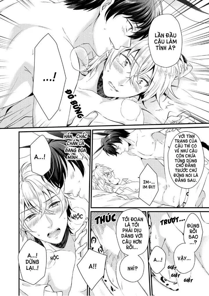 Tôi Không Thể Tin Được Tôi Bị Một Con Thỏ Ăn Cỏ Ăn Thịt! Chapter 1 Trang 17