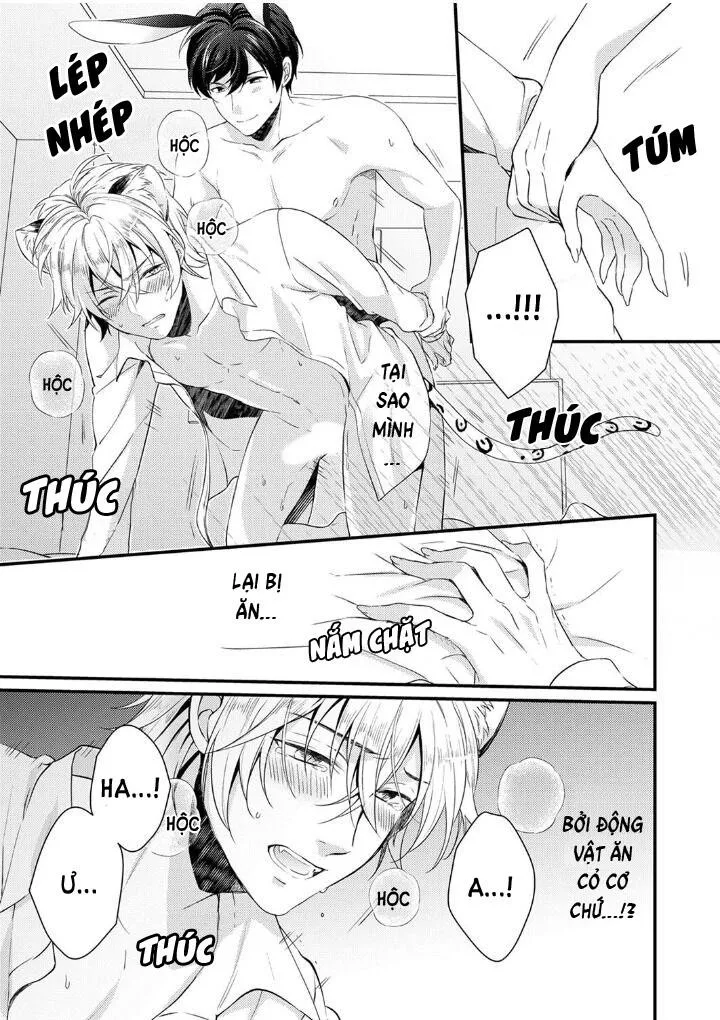 Tôi Không Thể Tin Được Tôi Bị Một Con Thỏ Ăn Cỏ Ăn Thịt! Chapter 1 Trang 18