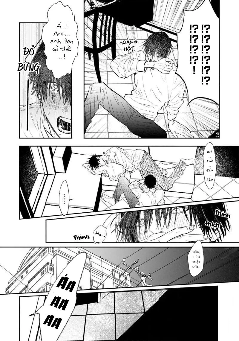 Tôi không thể từ chối anh trai của mình Chapter 1 Trang 14