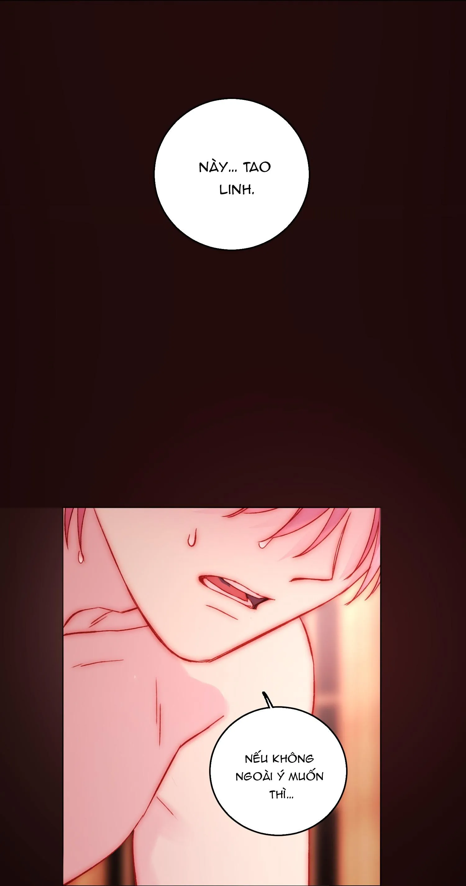 Tôi Phải Trở Thành Nhân Vật Đại Phản Diện Chapter 55 Trang 17