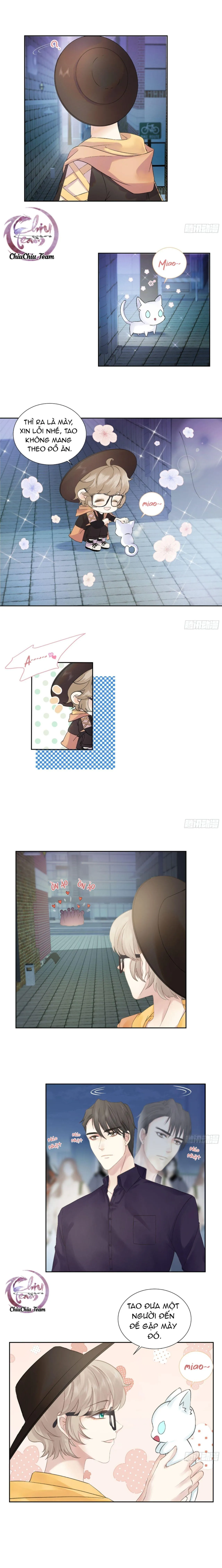 Tôi Nghi Ngờ Cậu Đang Yêu Thầm Tôi (END) Chapter 10 Trang 5