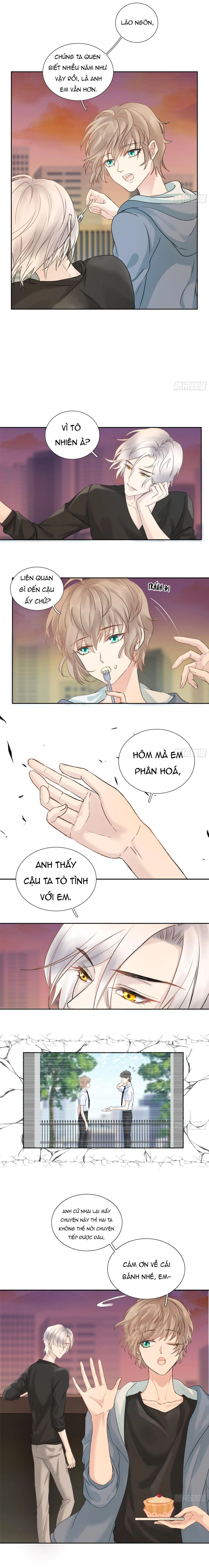 Tôi Nghi Ngờ Cậu Đang Yêu Thầm Tôi (END) Chapter 12 Trang 4