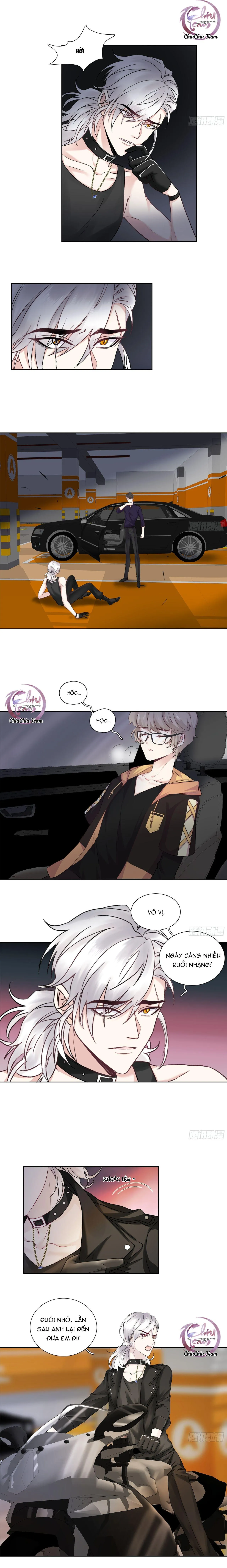 Tôi Nghi Ngờ Cậu Đang Yêu Thầm Tôi (END) Chapter 13 Trang 4