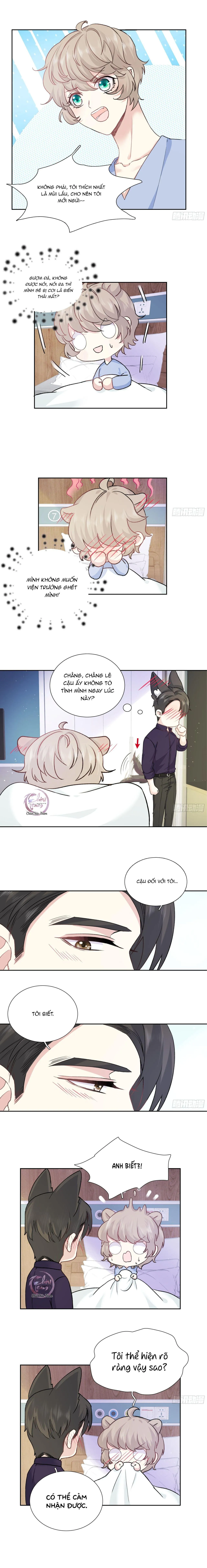 Tôi Nghi Ngờ Cậu Đang Yêu Thầm Tôi (END) Chapter 14 Trang 4