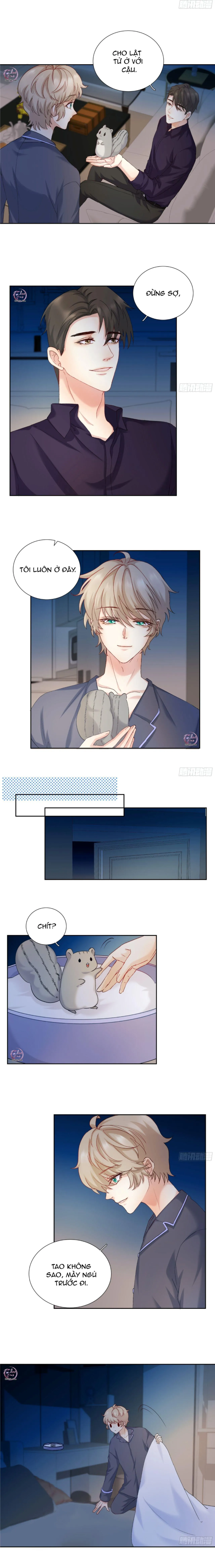 Tôi Nghi Ngờ Cậu Đang Yêu Thầm Tôi (END) Chapter 16 Trang 4