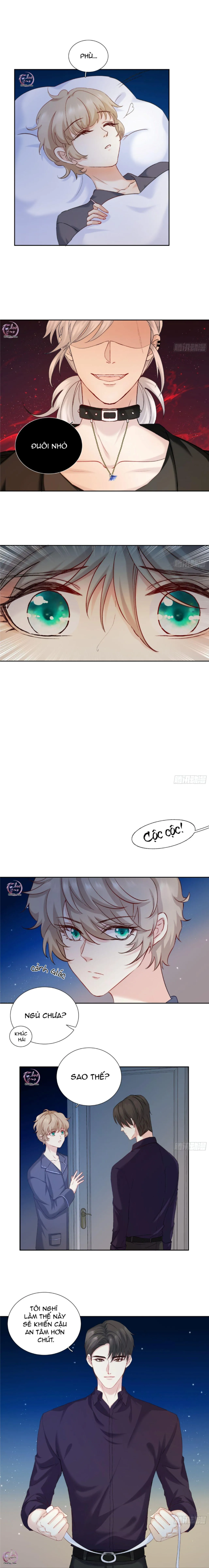 Tôi Nghi Ngờ Cậu Đang Yêu Thầm Tôi (END) Chapter 16 Trang 5