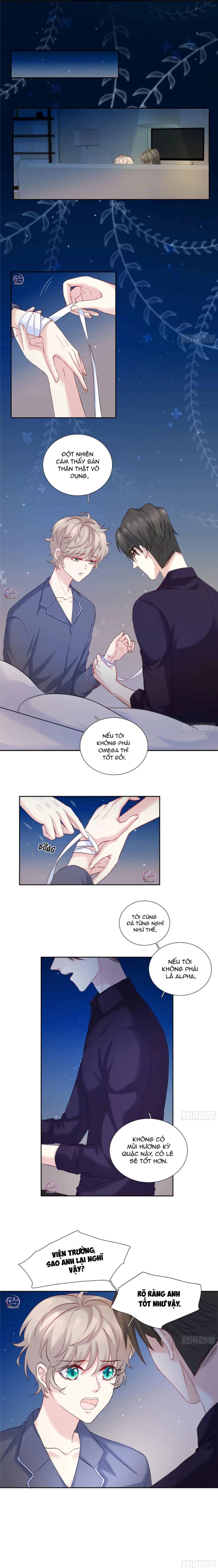 Tôi Nghi Ngờ Cậu Đang Yêu Thầm Tôi (END) Chapter 16 Trang 6