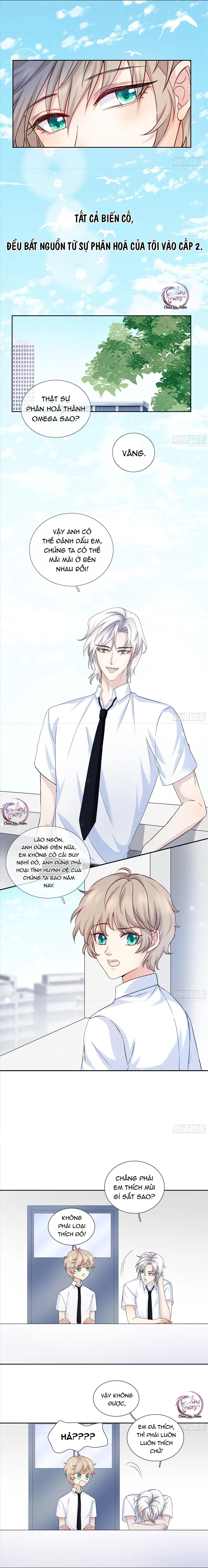 Tôi Nghi Ngờ Cậu Đang Yêu Thầm Tôi (END) Chapter 17 Trang 5