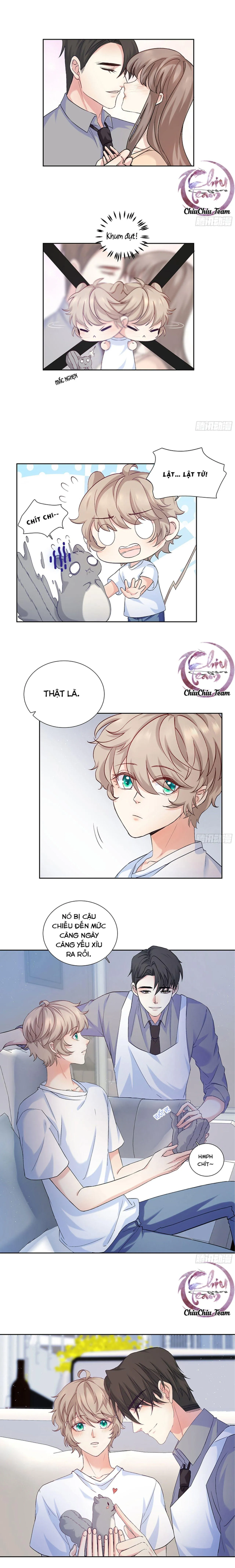 Tôi Nghi Ngờ Cậu Đang Yêu Thầm Tôi (END) Chapter 18 Trang 6