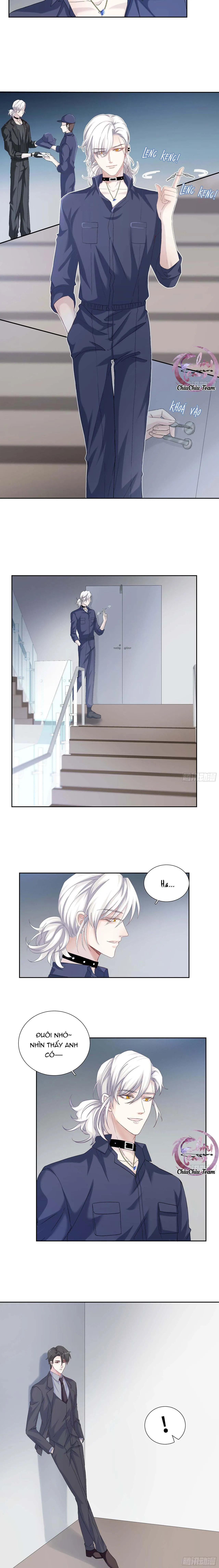 Tôi Nghi Ngờ Cậu Đang Yêu Thầm Tôi (END) Chapter 19 Trang 3