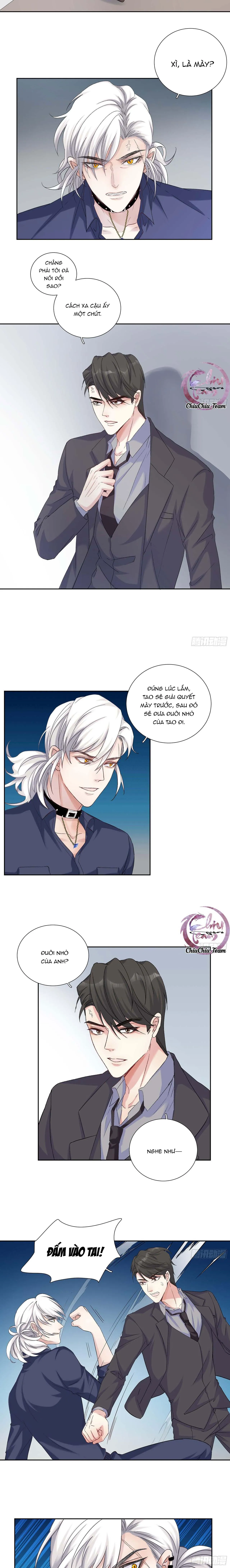 Tôi Nghi Ngờ Cậu Đang Yêu Thầm Tôi (END) Chapter 19 Trang 4