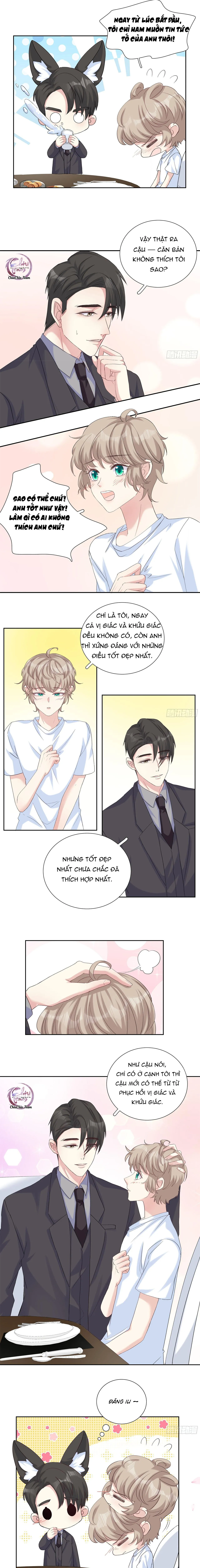 Tôi Nghi Ngờ Cậu Đang Yêu Thầm Tôi (END) Chapter 21 Trang 3