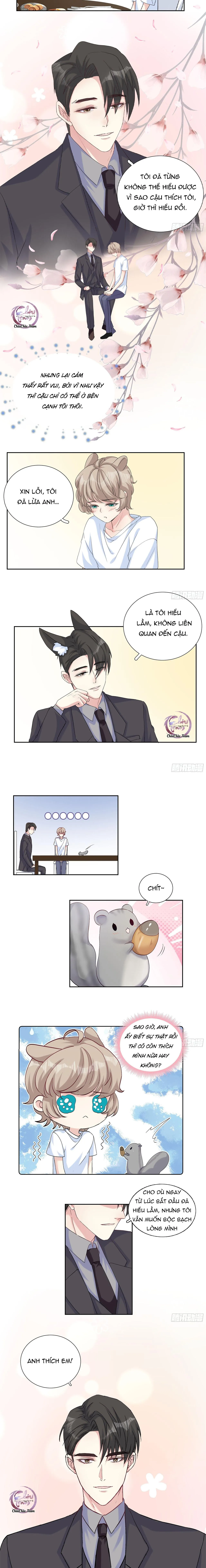 Tôi Nghi Ngờ Cậu Đang Yêu Thầm Tôi (END) Chapter 21 Trang 4