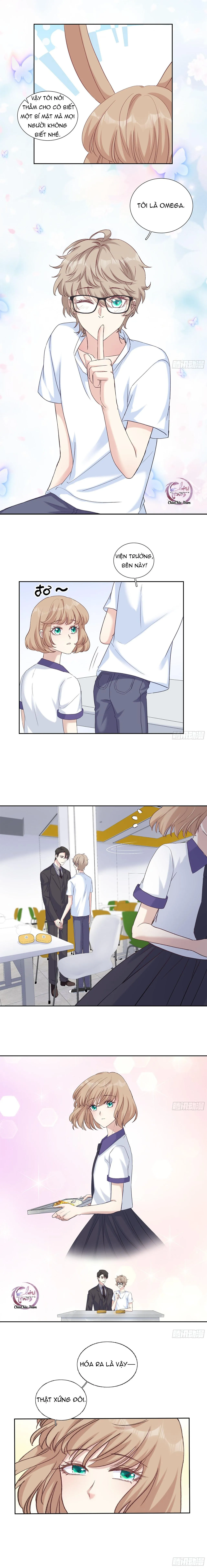 Tôi Nghi Ngờ Cậu Đang Yêu Thầm Tôi (END) Chapter 21 Trang 7