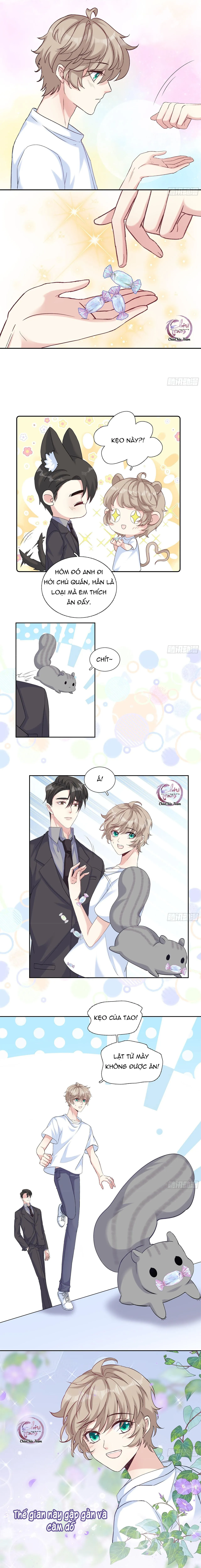 Tôi Nghi Ngờ Cậu Đang Yêu Thầm Tôi (END) Chapter 21 Trang 9