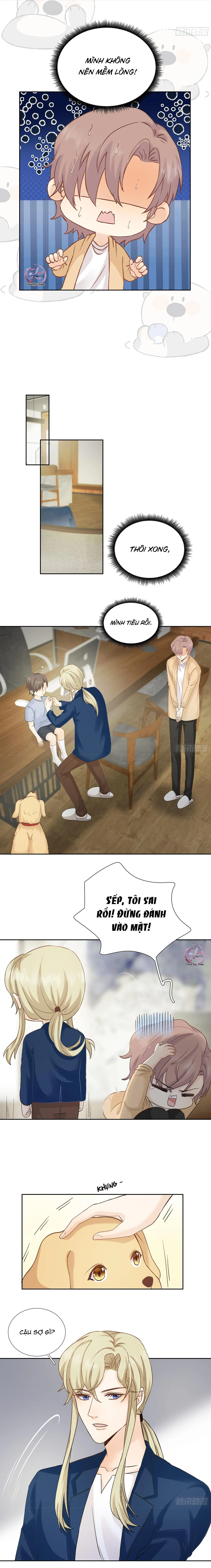 Tôi Nghi Ngờ Cậu Đang Yêu Thầm Tôi (END) Chapter 36 Trang 7