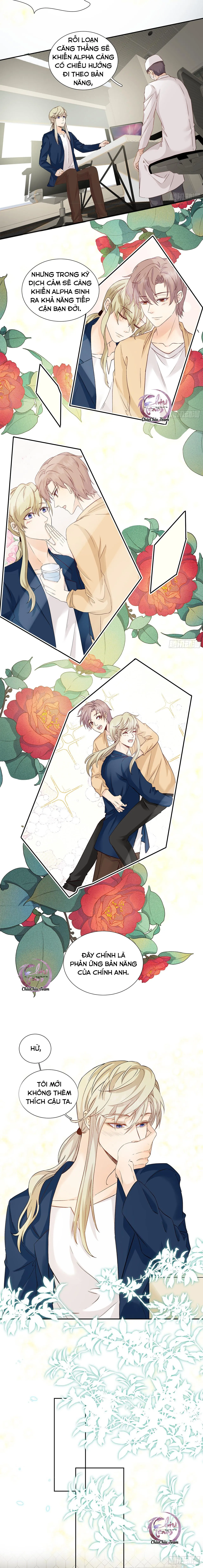 Tôi Nghi Ngờ Cậu Đang Yêu Thầm Tôi (END) Chapter 41 Trang 5