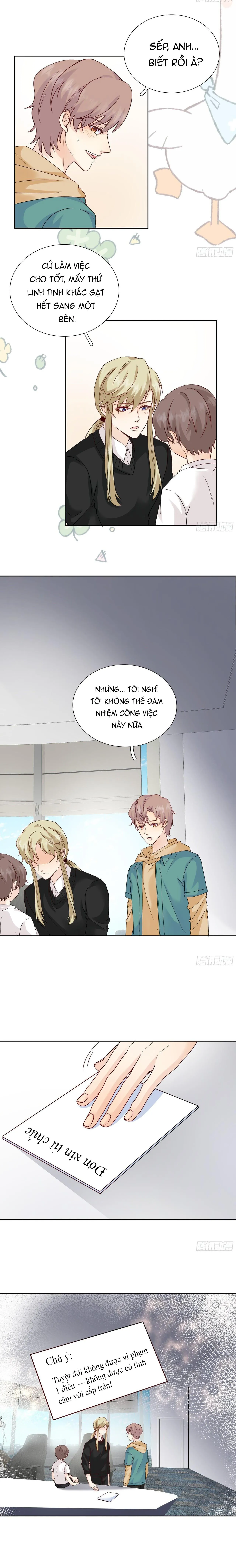 Tôi Nghi Ngờ Cậu Đang Yêu Thầm Tôi (END) Chapter 42 Trang 5