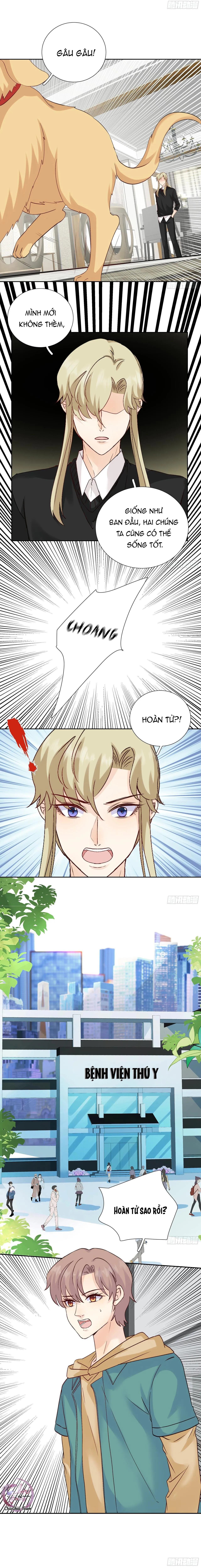 Tôi Nghi Ngờ Cậu Đang Yêu Thầm Tôi (END) Chapter 43 Trang 3