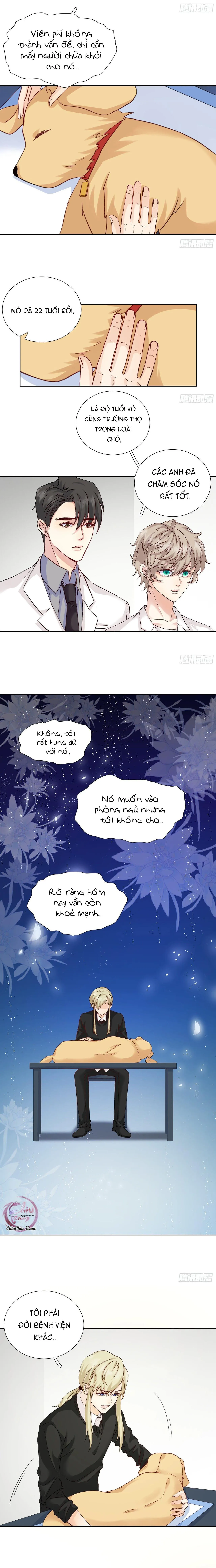 Tôi Nghi Ngờ Cậu Đang Yêu Thầm Tôi (END) Chapter 43 Trang 5