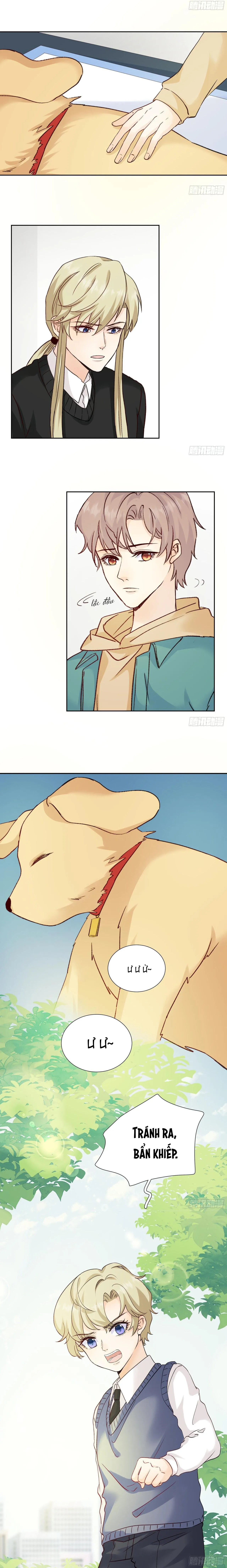 Tôi Nghi Ngờ Cậu Đang Yêu Thầm Tôi (END) Chapter 43 Trang 6