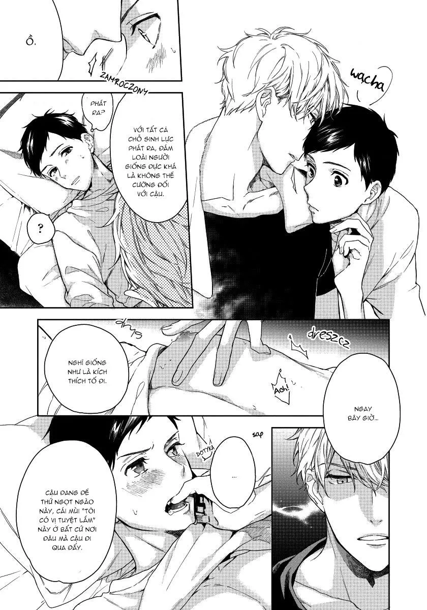 Tôi Nhặt Được Một Incubus Chapter 2 Trang 17