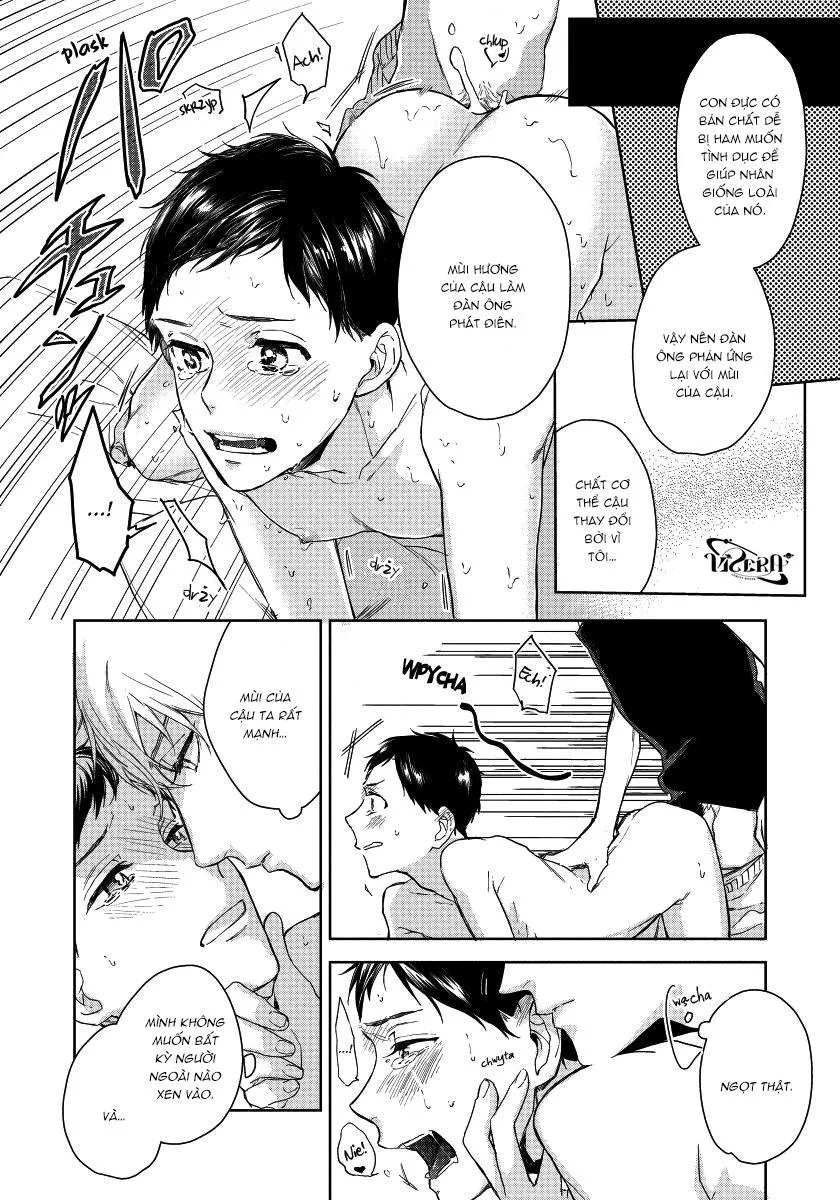 Tôi Nhặt Được Một Incubus Chapter 2 Trang 18