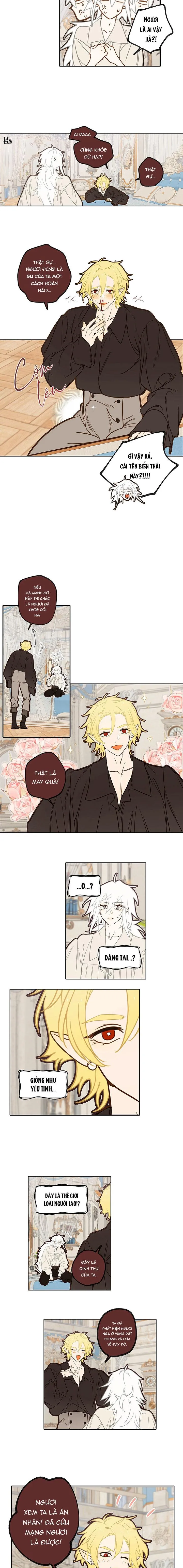 (ABO) TỚI QUỶ THÀNH TÌM PAPA Chapter 4 Trang 4