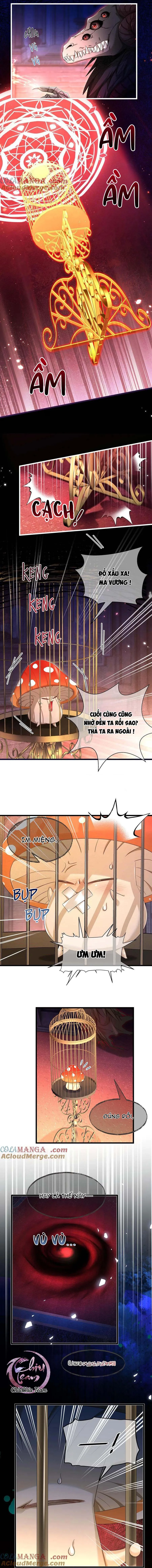 Tôi Tái Sinh Thành Tiểu Ác Long Của Hoàng Tử Điện Hạ Chapter 51 Trang 3