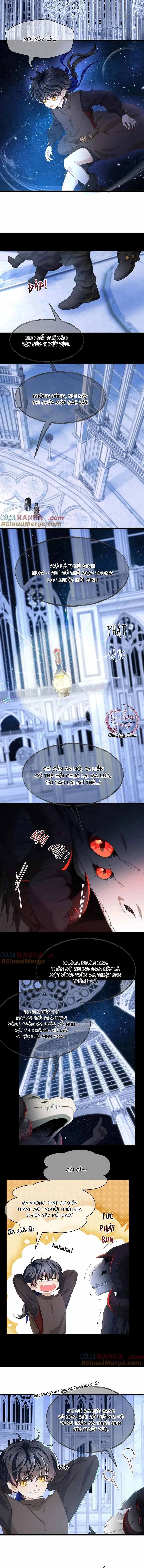 Tôi Tái Sinh Thành Tiểu Ác Long Của Hoàng Tử Điện Hạ Chapter 59 Trang 5