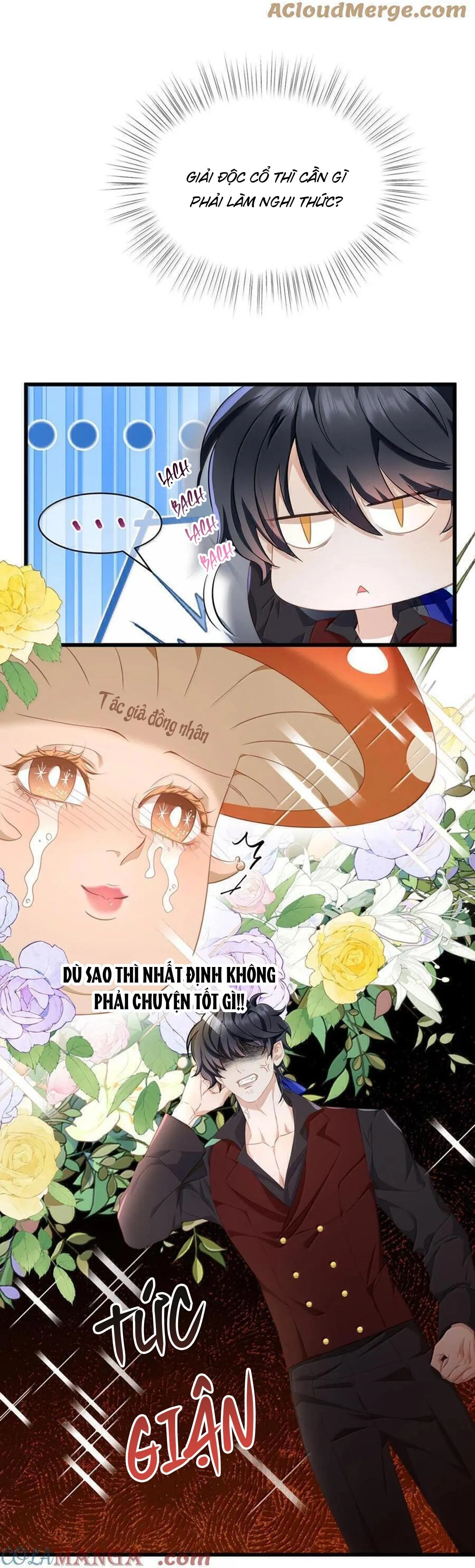 Tôi Tái Sinh Thành Tiểu Ác Long Của Hoàng Tử Điện Hạ Chapter 62 Trang 8