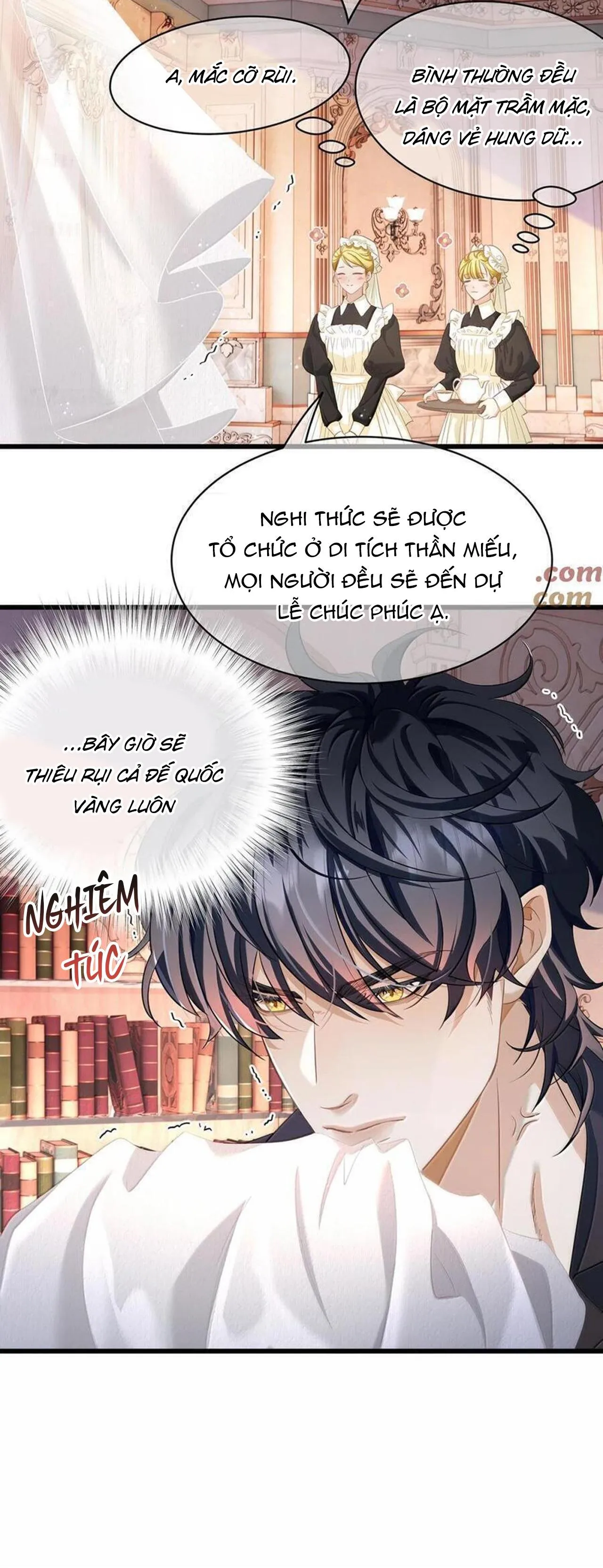 Tôi Tái Sinh Thành Tiểu Ác Long Của Hoàng Tử Điện Hạ Chapter 62 Trang 11