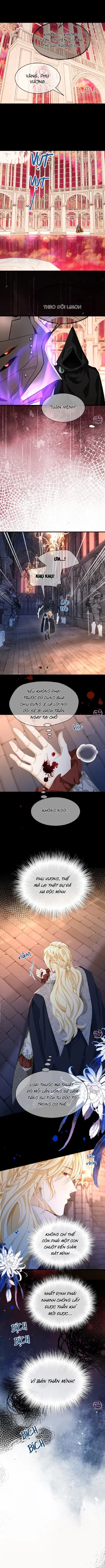 Tôi Tái Sinh Thành Tiểu Ác Long Của Hoàng Tử Điện Hạ Chapter 101 Trang 5
