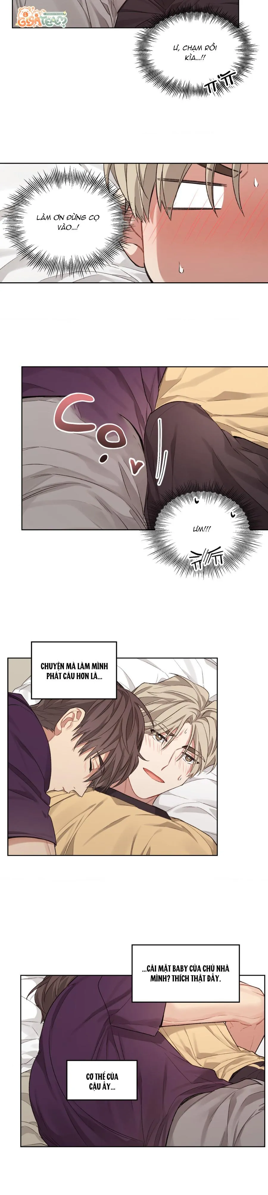 Tôi thề, tôi không phải kẻ lừa đảo đâu Chapter 6 Trang 7