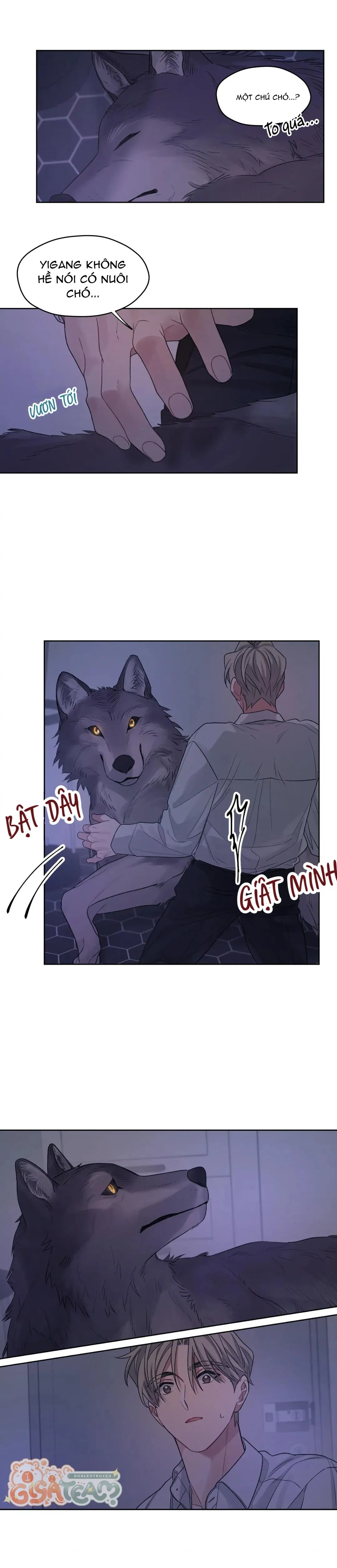 Tôi thề, tôi không phải kẻ lừa đảo đâu Chapter 16 Trang 3