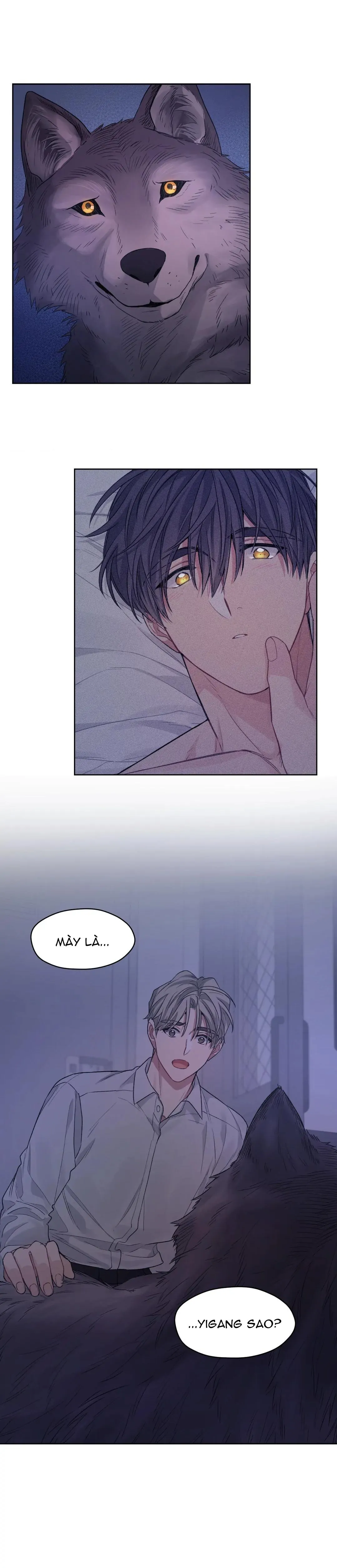 Tôi thề, tôi không phải kẻ lừa đảo đâu Chapter 16 Trang 4