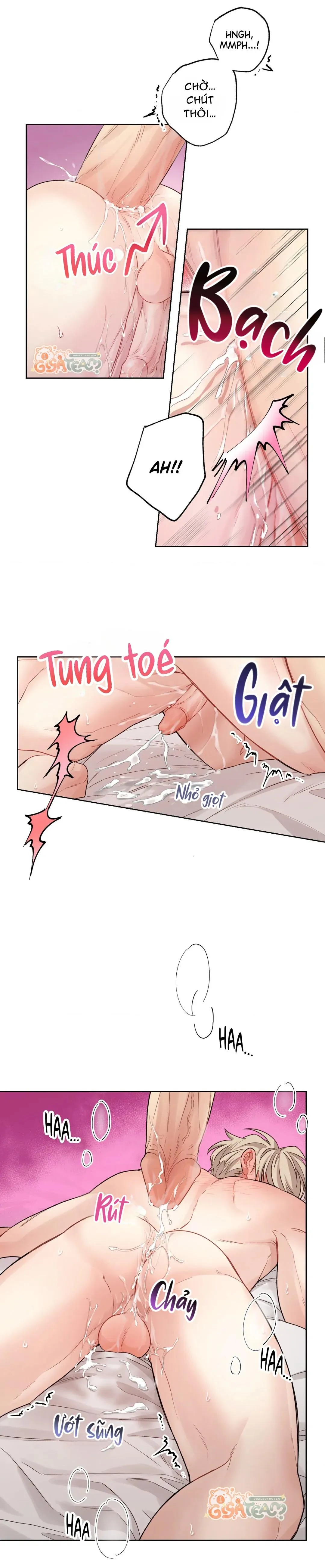 Tôi thề, tôi không phải kẻ lừa đảo đâu Chapter 19 Trang 3