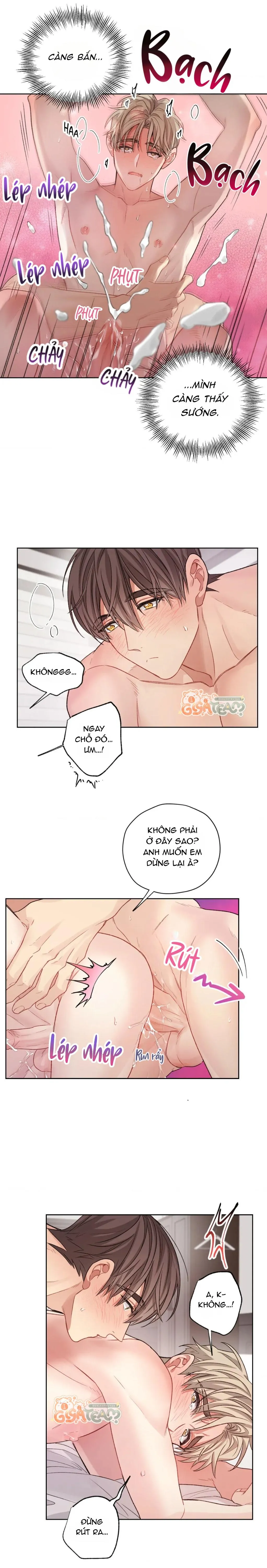 Tôi thề, tôi không phải kẻ lừa đảo đâu Chapter 19 Trang 13