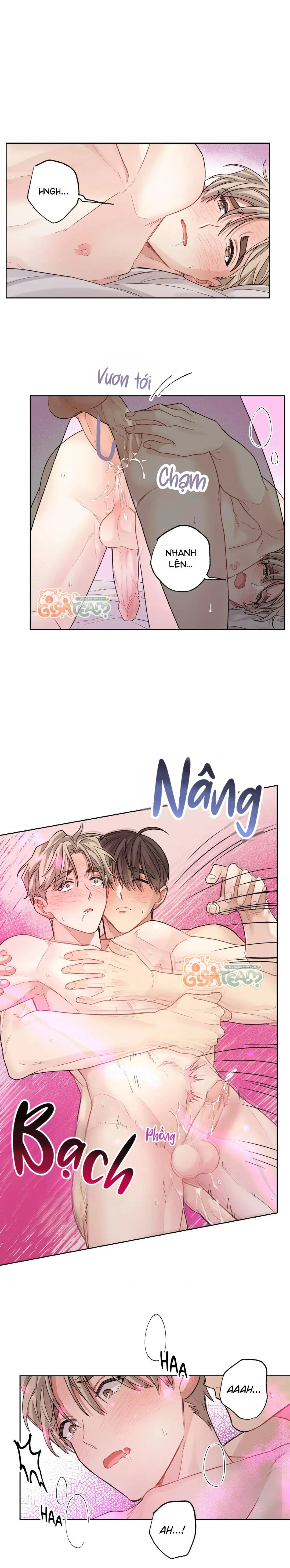 Tôi thề, tôi không phải kẻ lừa đảo đâu Chapter 19 Trang 15