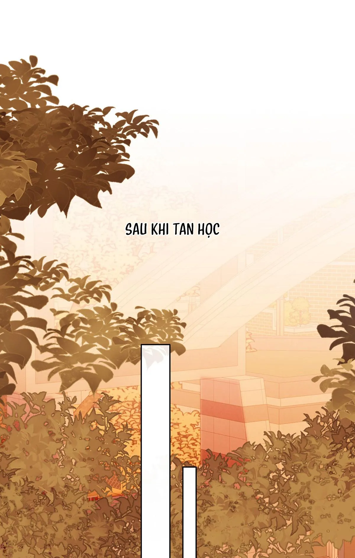 Tôi Thích Pheromone Của Cậu Chapter 50 Trang 10