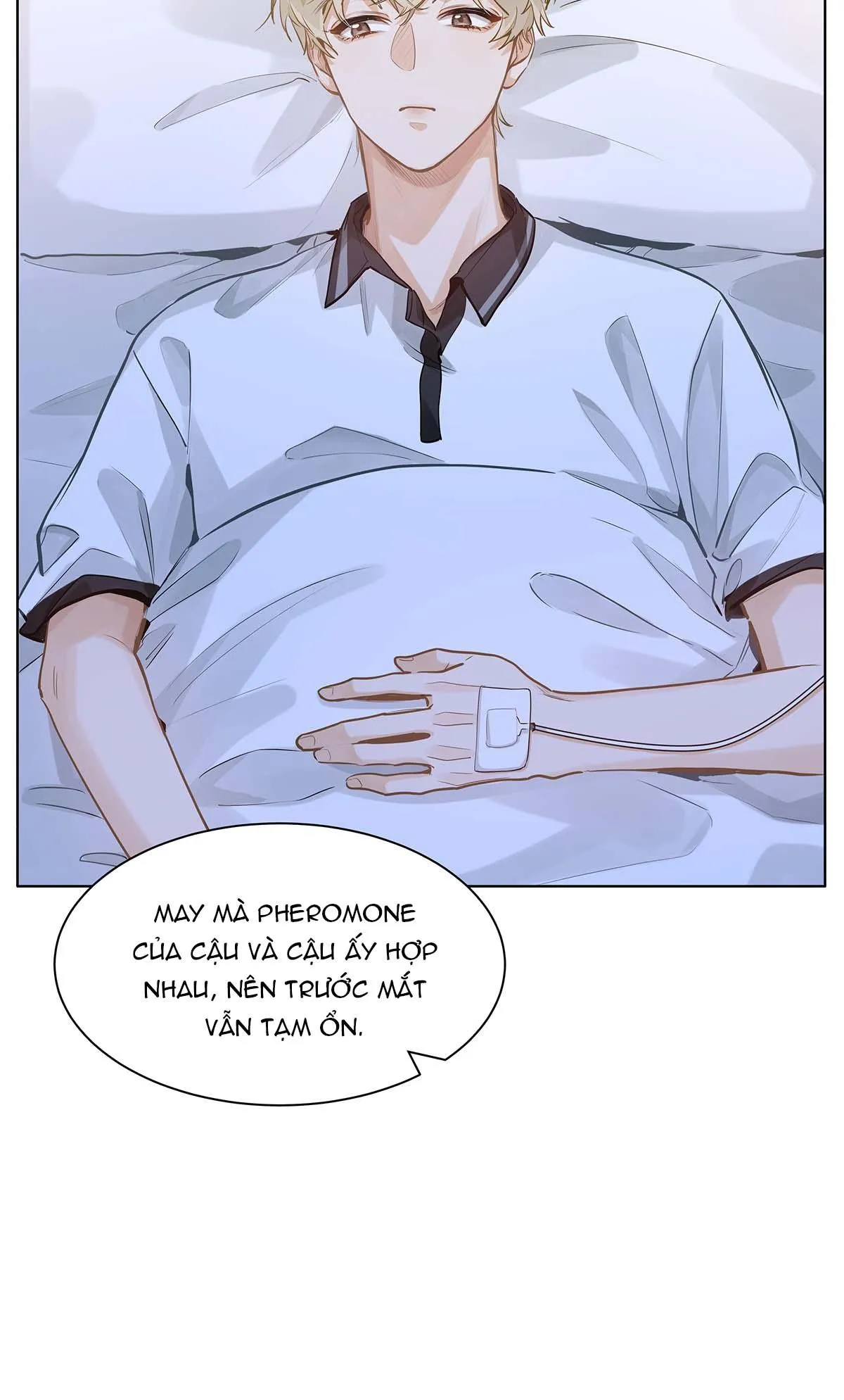 Tôi Thích Pheromone Của Cậu Chapter 53 Trang 17