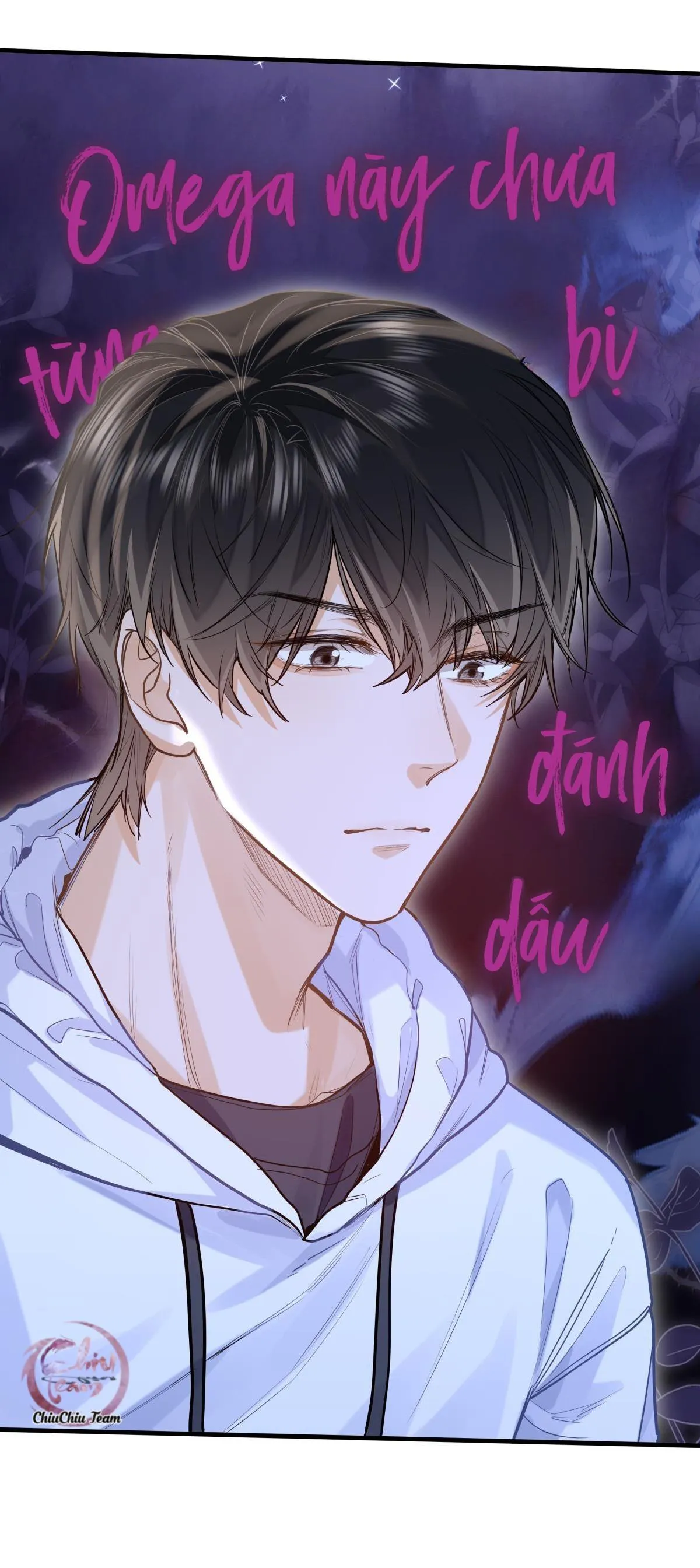 Tôi thích tin tức tố của cậu Chapter 17 Trang 13