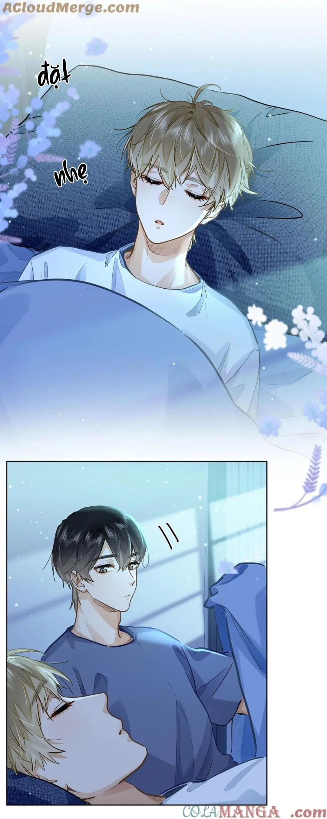 Tôi thích tin tức tố của cậu Chapter 42 Trang 18