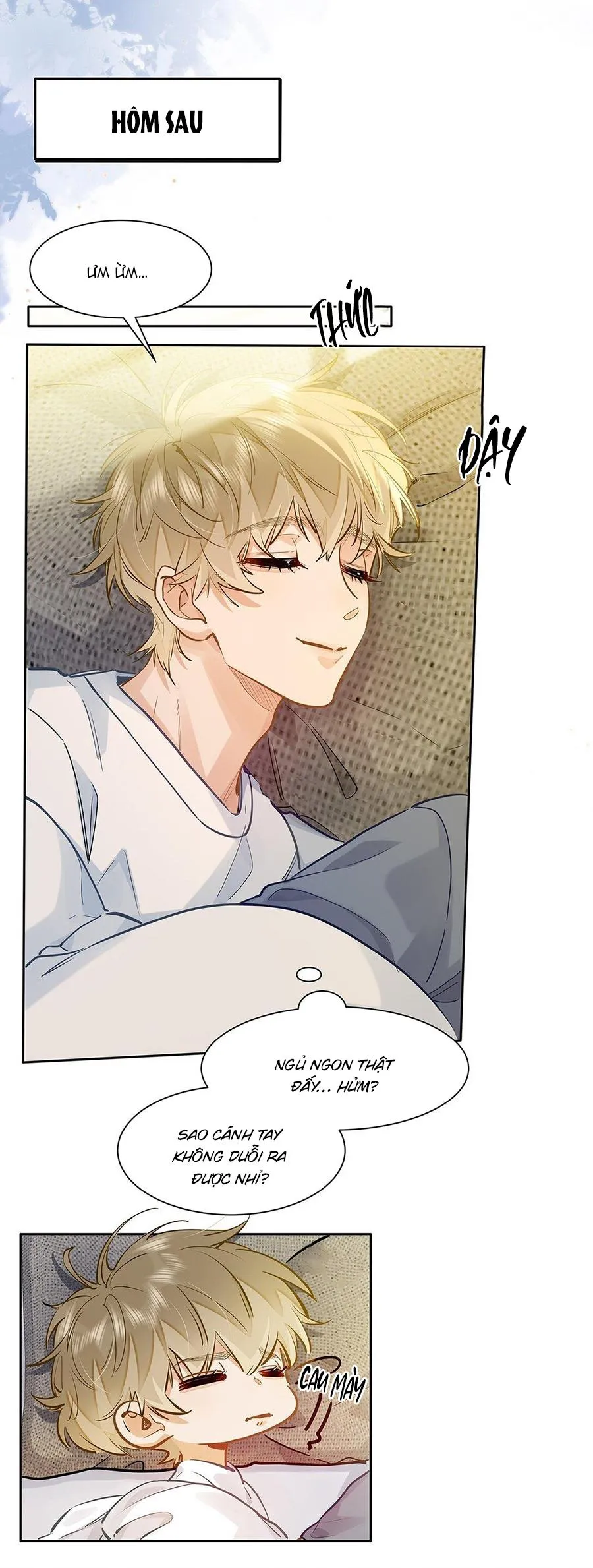 Tôi thích tin tức tố của cậu Chapter 43 Trang 10