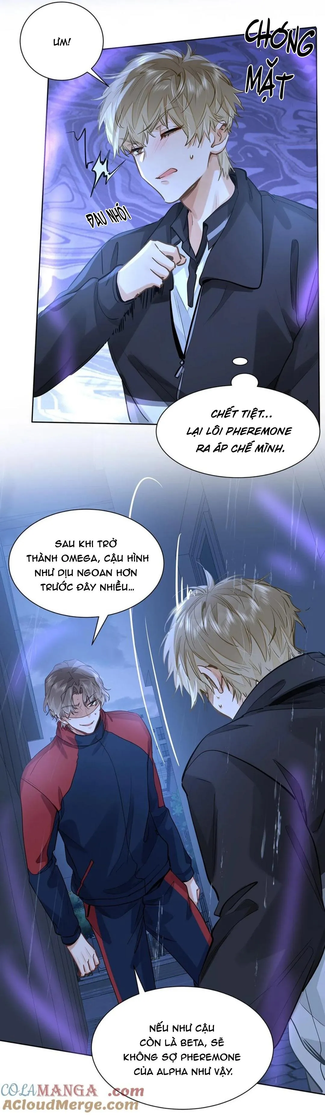 Tôi thích tin tức tố của cậu Chapter 51 Trang 7