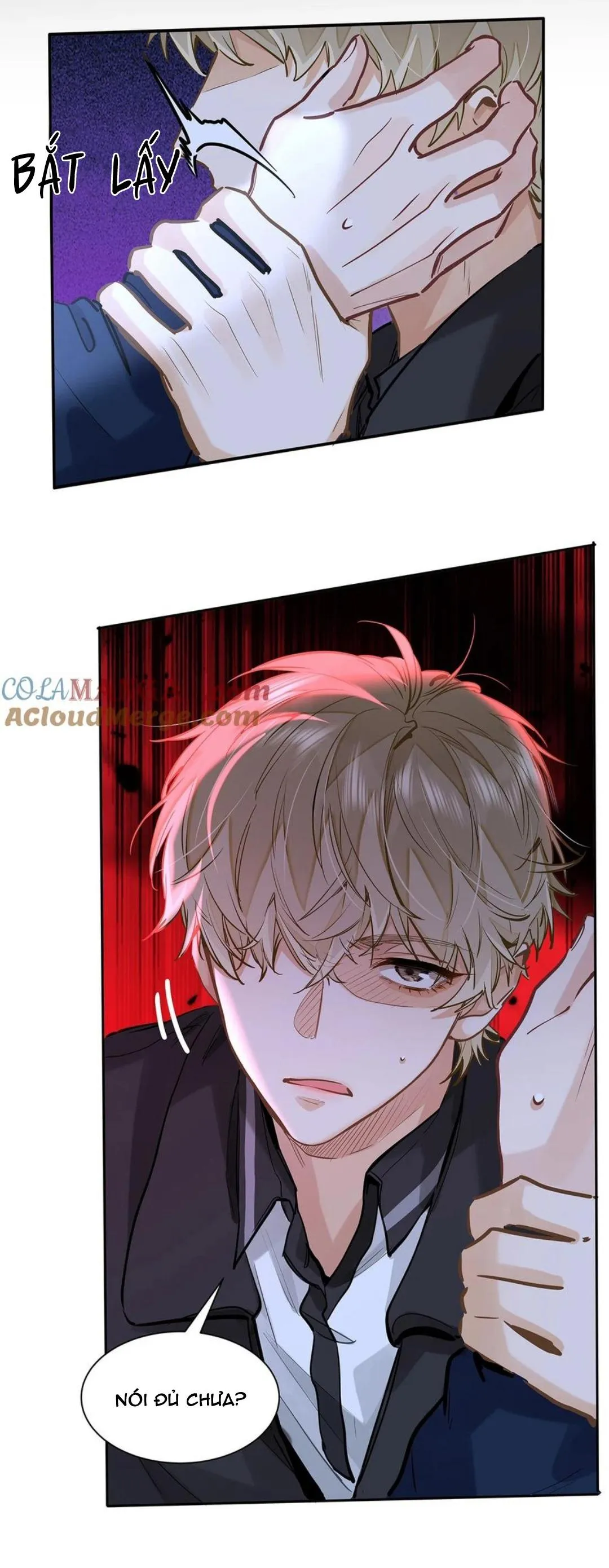 Tôi thích tin tức tố của cậu Chapter 51 Trang 17